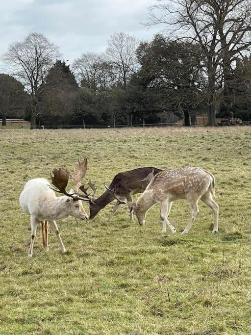 Elegant Near Stratford Upon Avon *